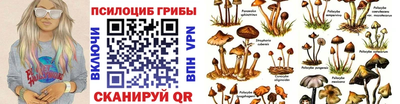 shop клад  Балашиха  Псилоцибиновые грибы мухоморы 